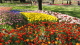 img0021.jpg