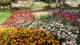 img0025.jpg