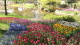 img0026.jpg