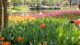 img0045.jpg