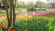img0046.jpg
