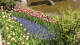 img0047.jpg