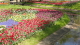 img0050.jpg