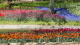 img0058.jpg