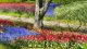img0059.jpg