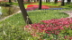 img0061.jpg