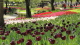 img0063.jpg