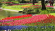 img0064.jpg