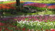 img0069.jpg
