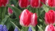 img0075.jpg