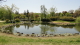 img0090.jpg