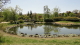 img0091.jpg