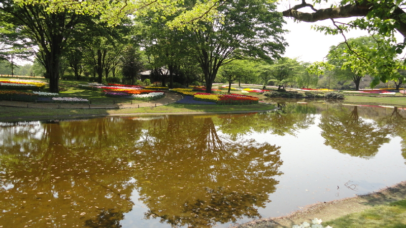 img0004.jpg