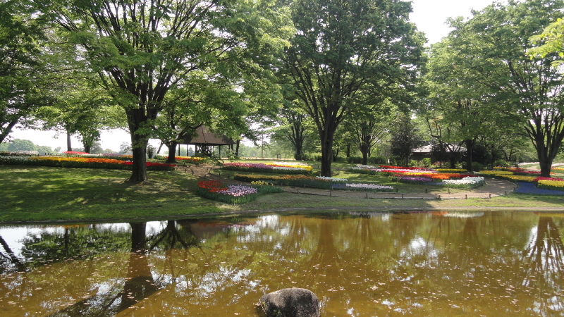img0005.jpg