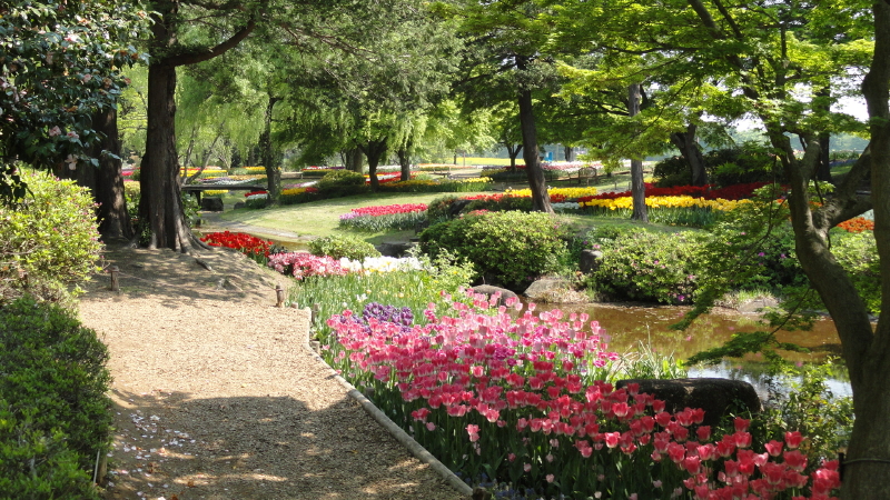 img0006.jpg
