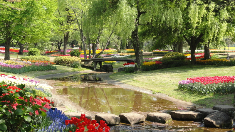 img0008.jpg