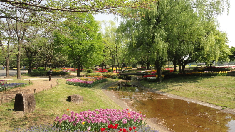 img0011.jpg