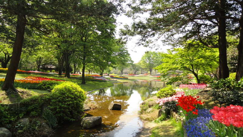 img0012.jpg