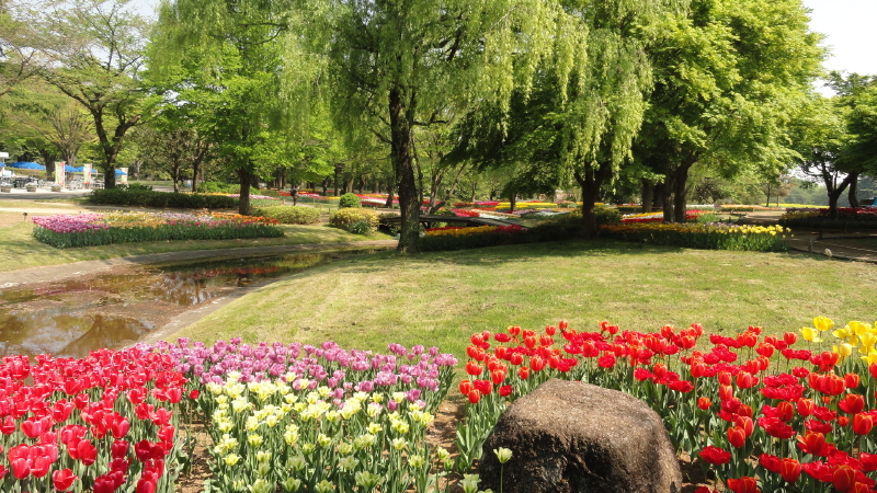 img0013.jpg
