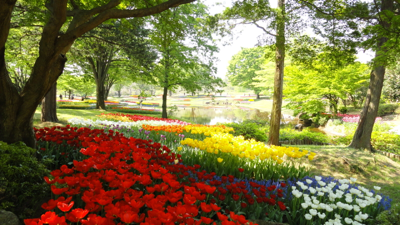 img0014.jpg