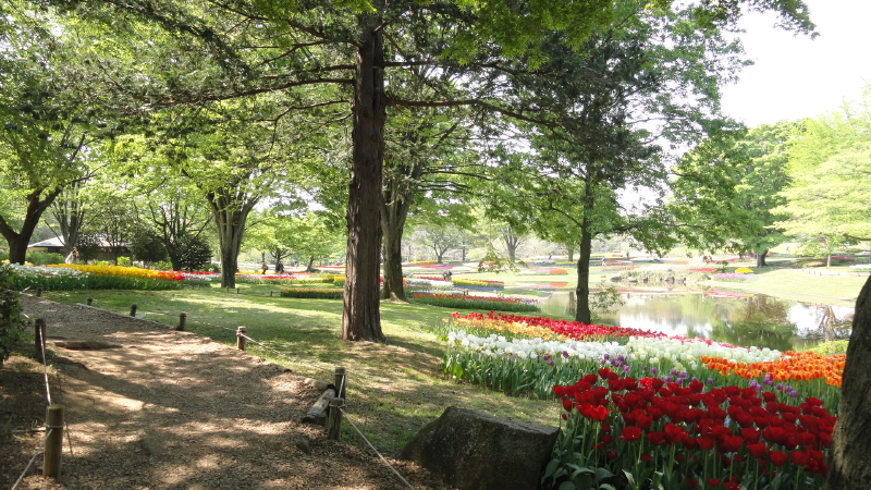 img0015.jpg