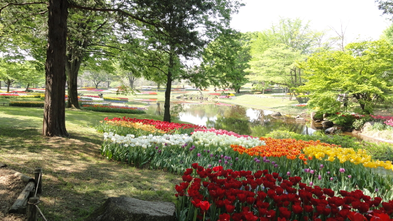 img0016.jpg