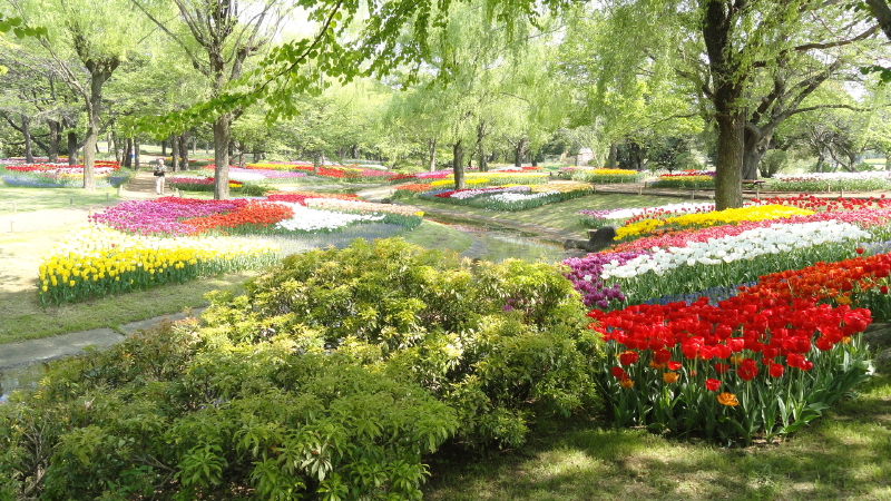 img0018.jpg