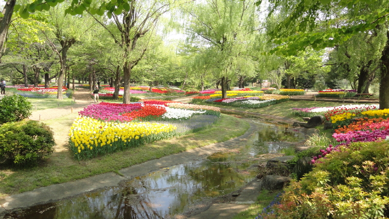 img0019.jpg