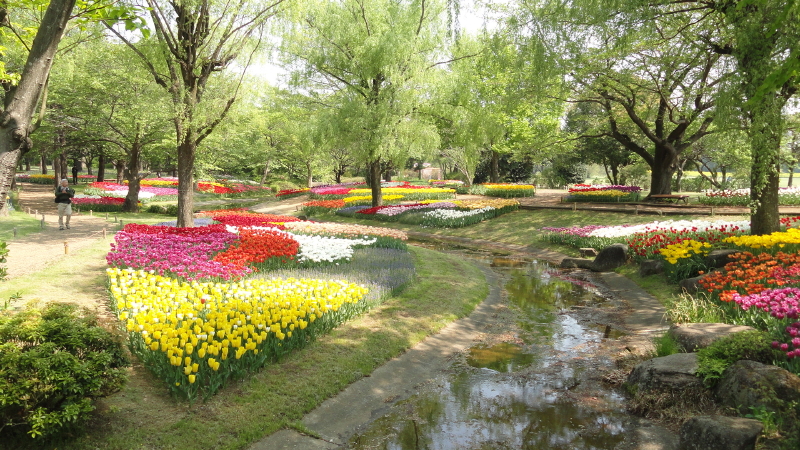 img0020.jpg