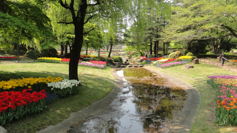 img0021.jpg