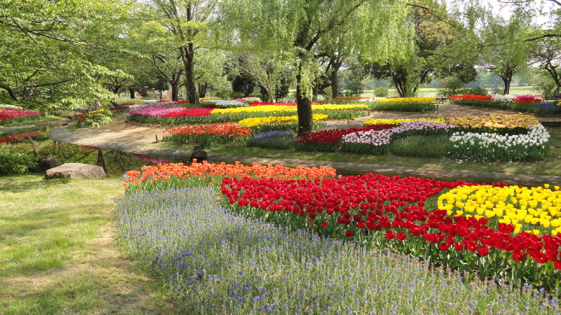 img0024.jpg