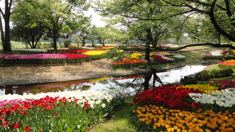 img0027.jpg