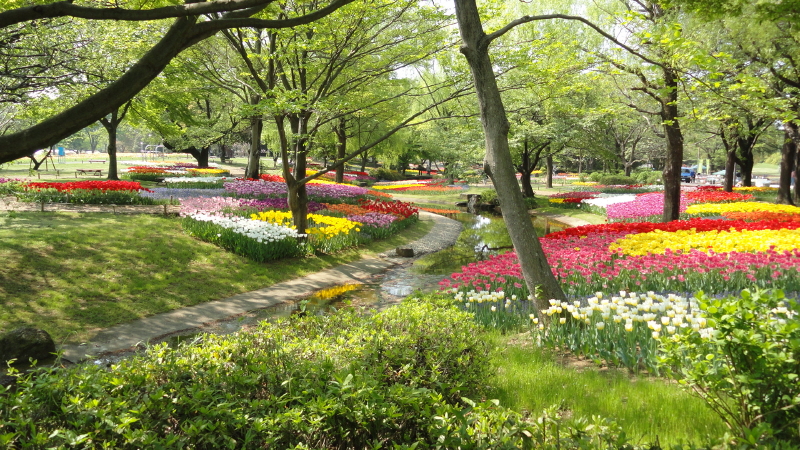 img0034.jpg