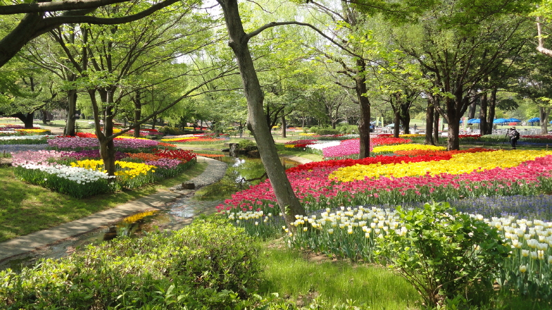 img0035.jpg