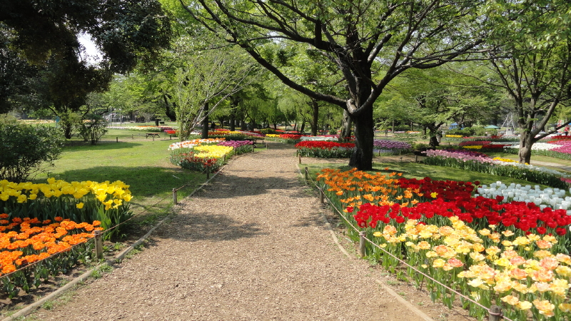 img0037.jpg