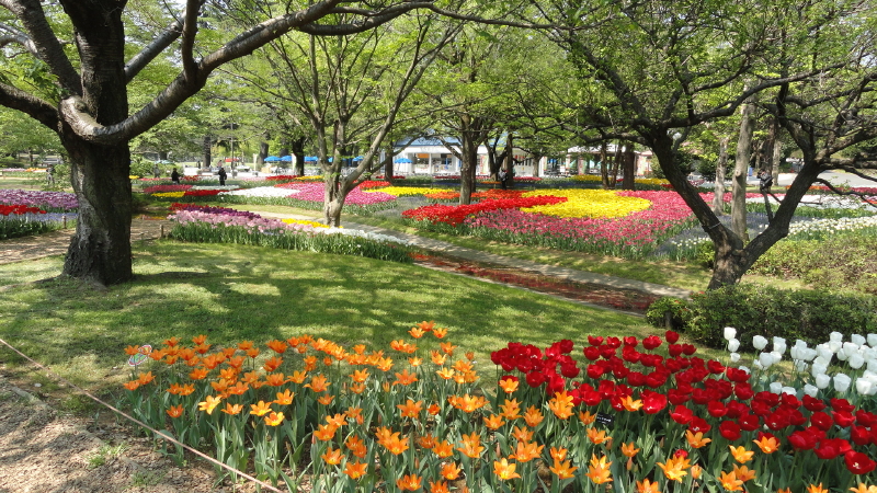 img0039.jpg