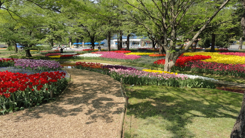 img0040.jpg