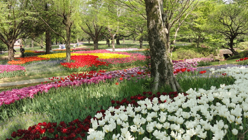 img0043.jpg