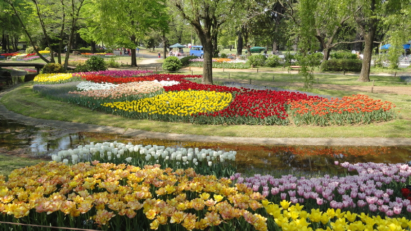 img0046.jpg