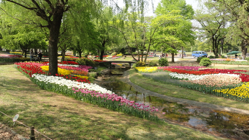 img0047.jpg