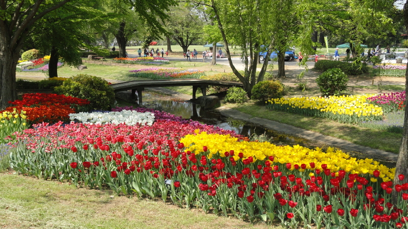 img0049.jpg