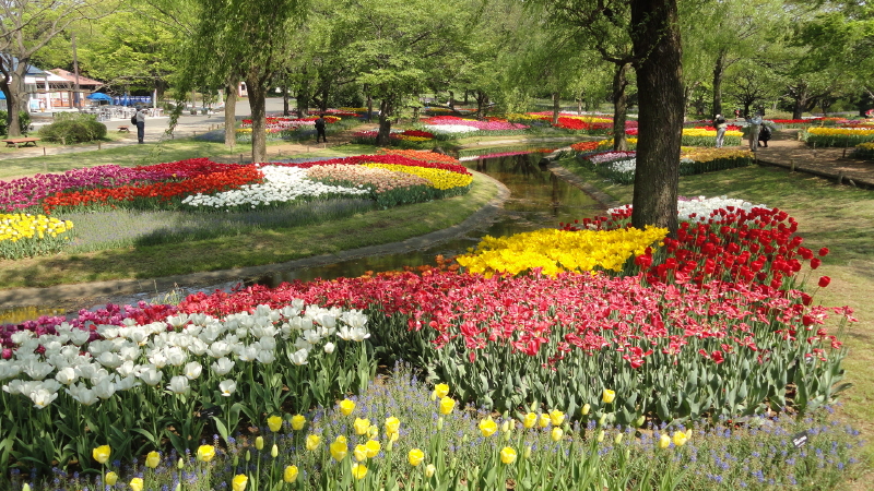 img0050.jpg