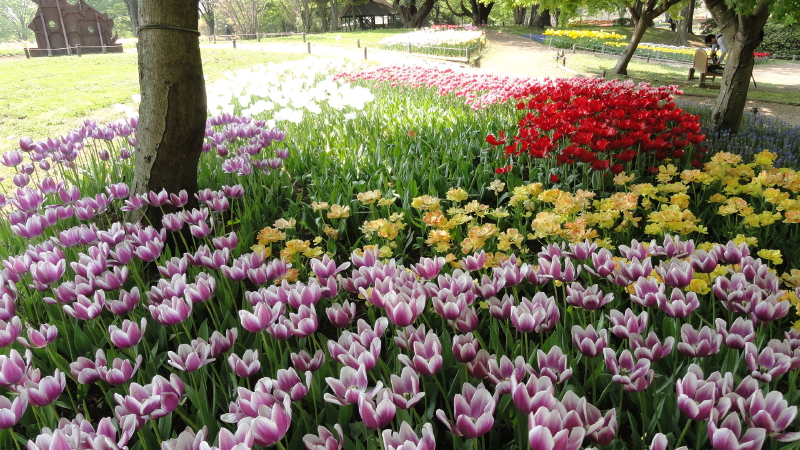 img0052.jpg