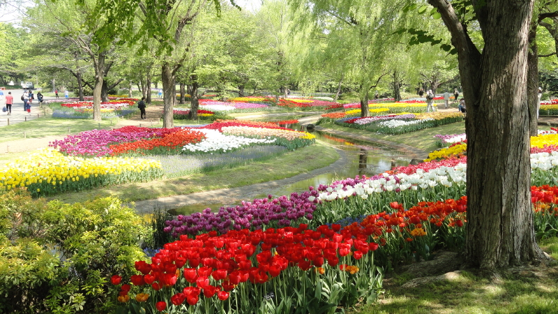 img0054.jpg