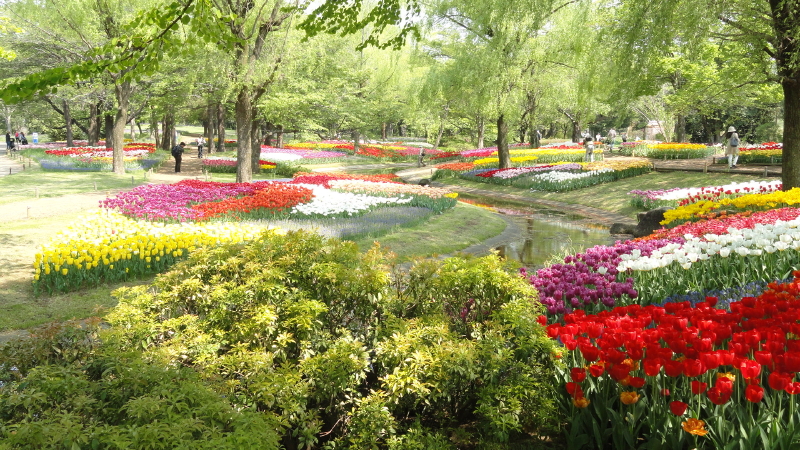 img0055.jpg