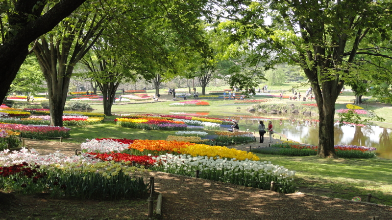 img0056.jpg