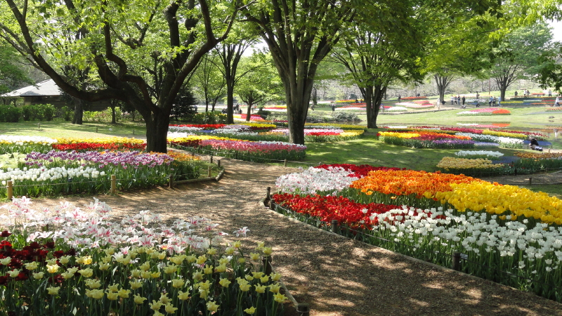 img0057.jpg