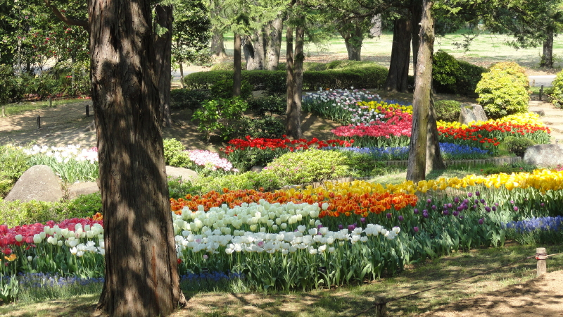 img0058.jpg