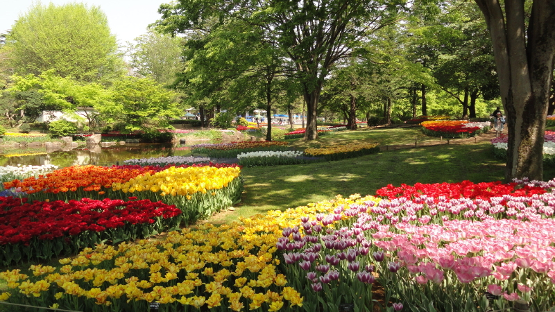 img0066.jpg