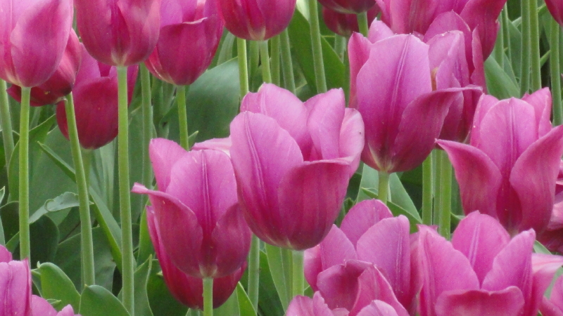 img0071.jpg